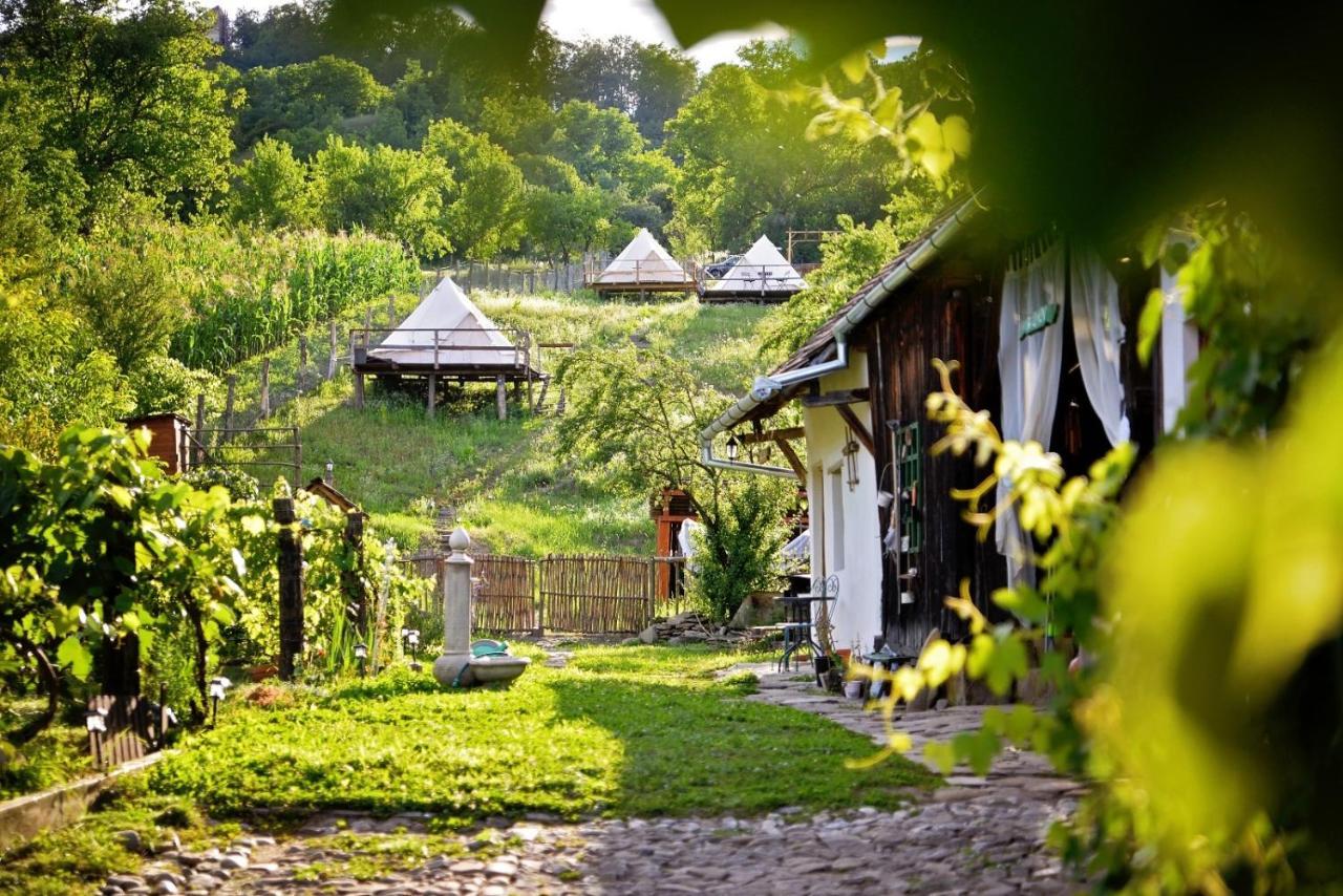 Saschiz 130/Lodging And Glamping Exteriér fotografie